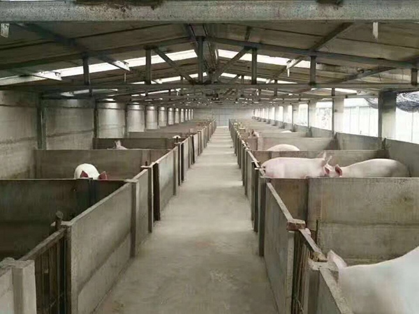 养猪场水泥围墙
